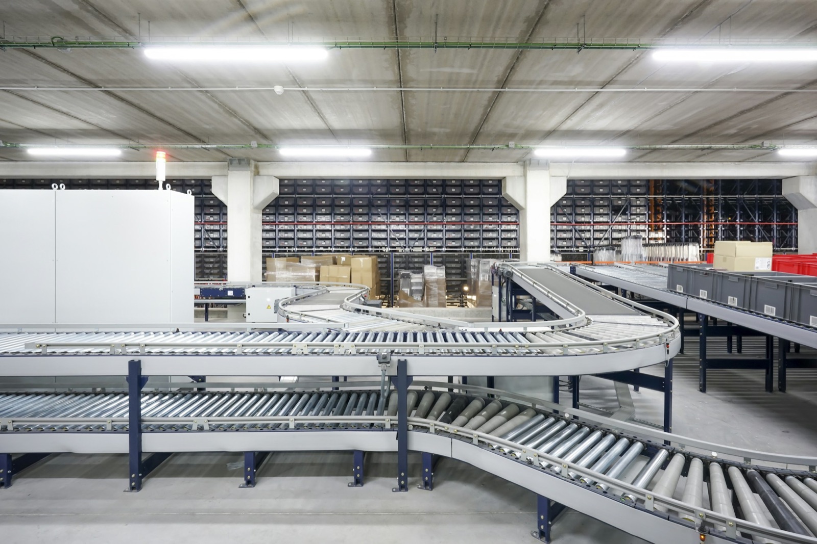 Roller conveyor lines and cartons in an automated fulfillment warehouse